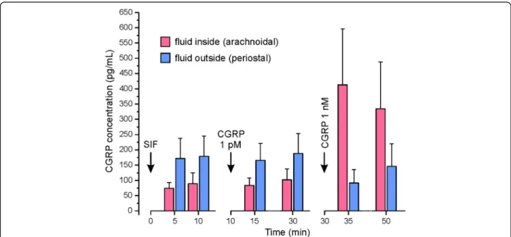 Fig. 5 CGRP concentrations measured in the cranium (arachnoidal side) and on the outside (periostal side) of the dura mater ( n = 9) after application of vehicle (SIF) and CGRP at concentrations of 1 pmol/L and 1 nmol/L.