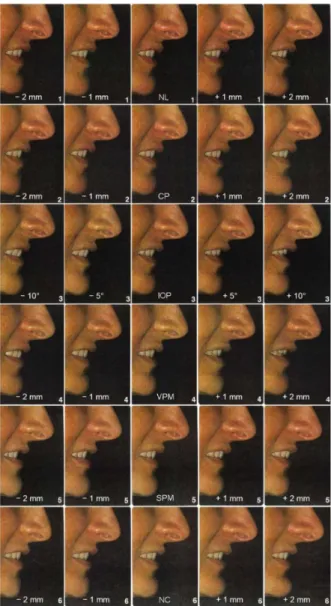 Figure 1. The six series of modified photos. In each series, the unmodified variant is always the middle one