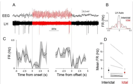 Figure 4. Ictal and interictal neuronal activity in the LH. (A) Example single unit recording in the LH during ictal (red) and interictal (black) periods