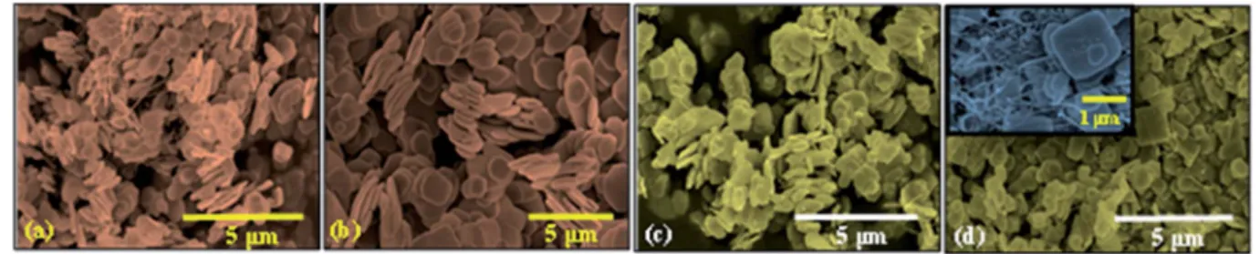 Fig. 3 (a) SEM micrograph of pure CNT (b) TEM image of pristine CNT (c) HRTEM of pristine CNT representing graphitic sheets that corresponds to the defect sites due to the presence of functional groups on CNTs surface (d) TEM image of BiOCl/CNT composite p