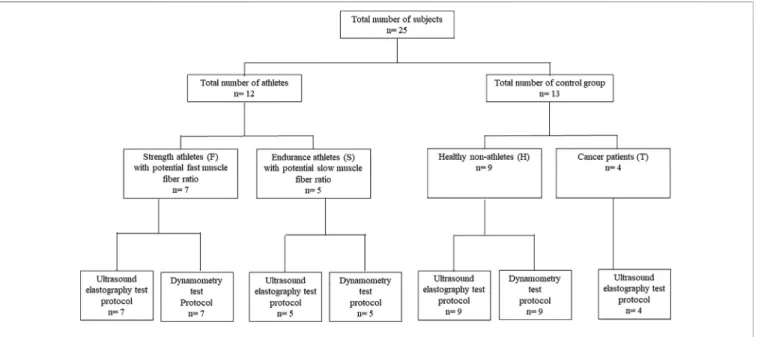 FIGURE 1 | Flow diagram of research.