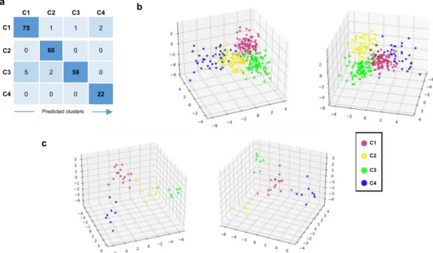 Fig. 8 Development of a composite model to predict the belonging of a patient to one of the 4 clusters