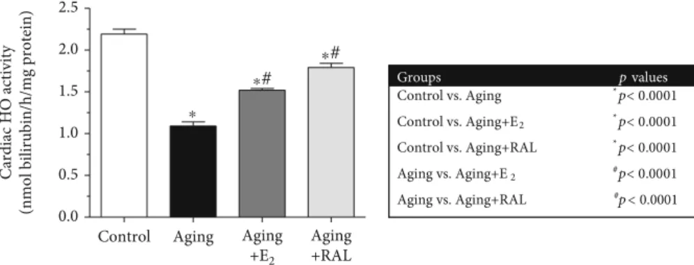 Figure 2: The eﬀects of the aging process and E 2 /RAL treatment on cardiac HO activity (HO, expressed as nmol bilirubin/h/mg protein).