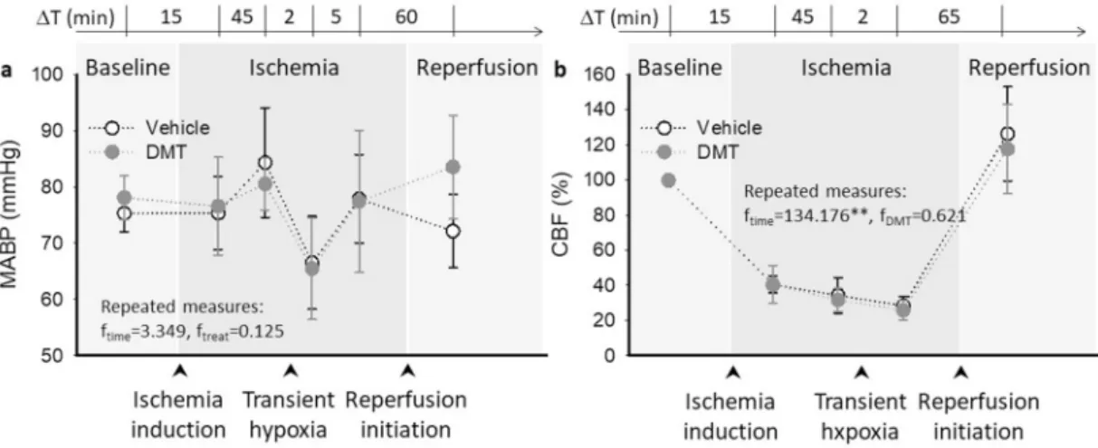 Fig. 2. Mean arterial blood pressure (MABP) and cerebral blood flow (CBF) variations over the experimental protocol