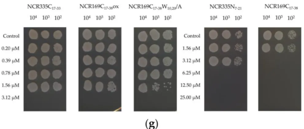 Figure A2. Growth of Candida species after AMP-treatment. (a) Candida albicans ATCC 10231, (b) C