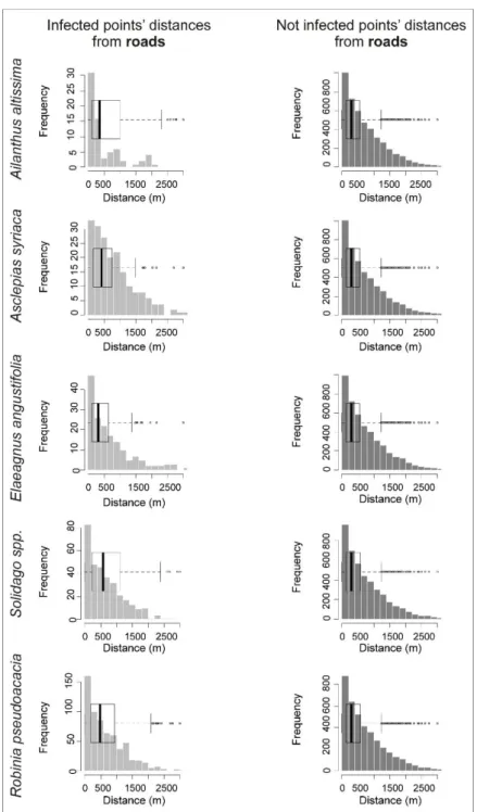 Figure A1. Histogram and boxplots of infected and not infected points’ distances from roads