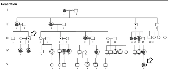 Fig. 1  The pedigree of the investigated family. Dark shading indicates an eoHM phenotype