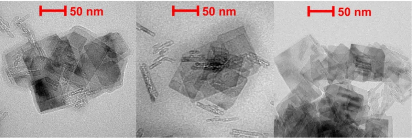 Fig. 5. Dried-stage TEM images of the TNS-PDADMAC-SOD-PSS-HRP cascade material.