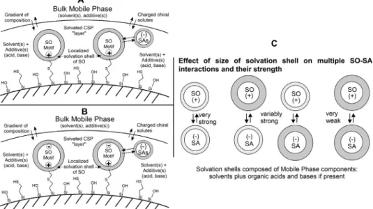 Fig.  2. Scheme  of the status of solvated SOs  and of solvated  SAs. A  ,  Solvation layer developing on  QN-AX and QD-AX type CSPs; B  , Solvation  layers developing  on  ZWIX(  +  )  and  ZWIX(-) type CSPs;  C  ,  Effect of size of solvation  shell on m