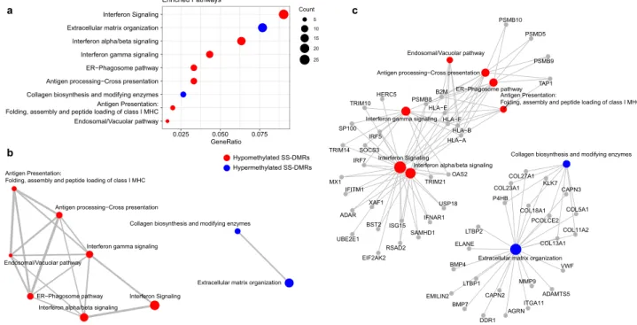 Figure 3.  Functional Enrichment Results for differentially methylated regions based in Reactome database