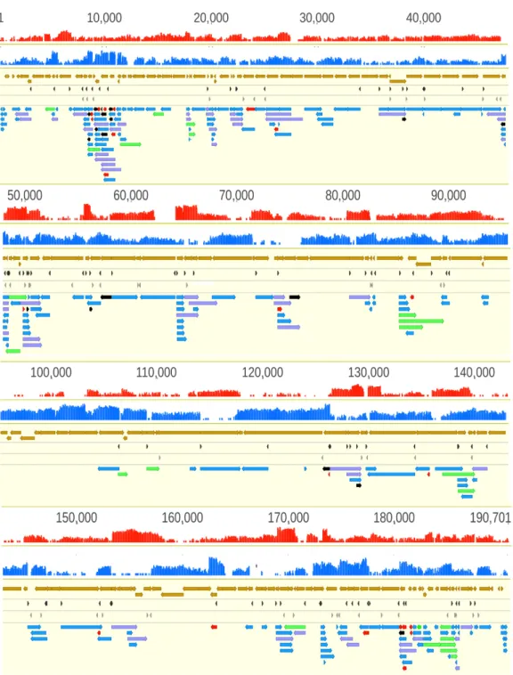 Figure 3. African swine fever virus transcriptome. The red and the blue histograms represent the  coverage of cDNA reads on the two DNA strands
