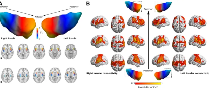 Figure 1.  Average connectopy of the insular cortex. (A) Average connectopic maps overlaid on the MNI152  template, displayed in neurological orientation