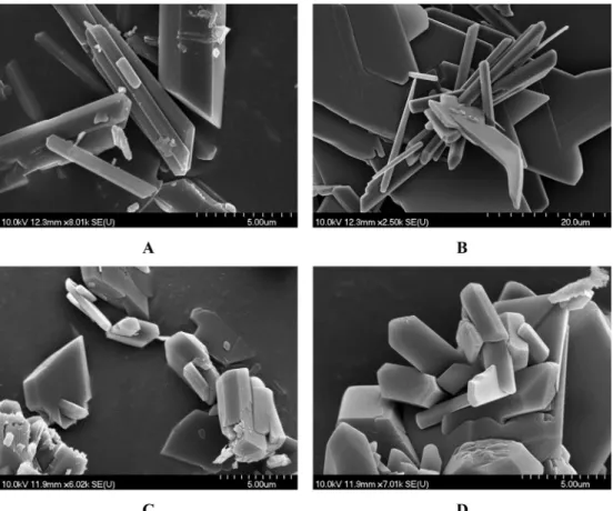 Fig. 10. SEM images of gypsum precipitated during the stoichiometric reaction of Na 2 SO 4 and CaCl 2 , with 0.1 M reactant concentration in the presence of 1 M additional NaCl, A: in the absence of additive, B: in the presence of 1.5 mM citric acid and C,