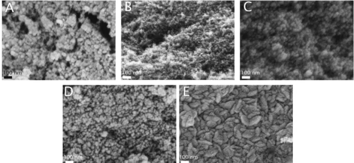 Fig. 6 shows the TEM images of the samples. The globular structure of the aerogel is present here as well