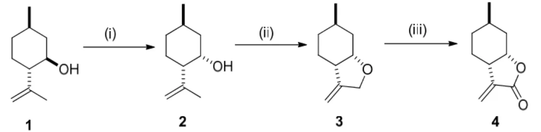 Figure 1. Synthesis of (–)-isopulegol-based methylenetetrahydrofuran 3: (i) PCC (2 equivalents), DCM  (Dichloromethane), 25 °C, 48 h, 80% than L-selectride (1.5 equivalents) dry THF, −78 °C, 1 h, 90% [48–