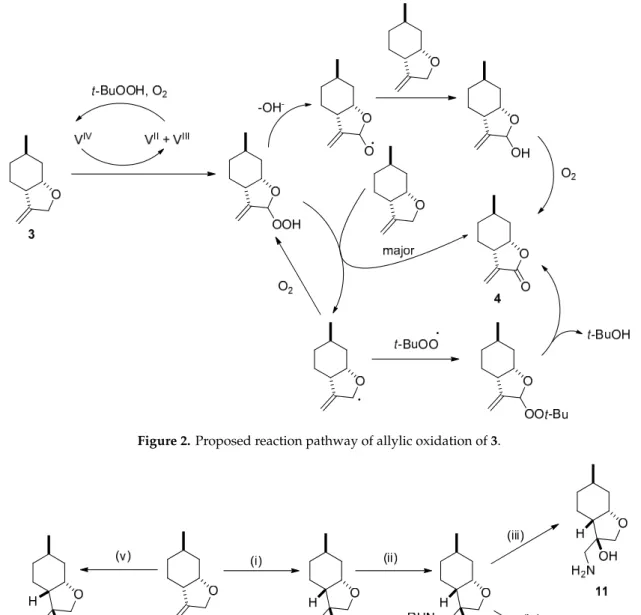 Figure 2. Proposed reaction pathway of allylic oxidation of 3. 