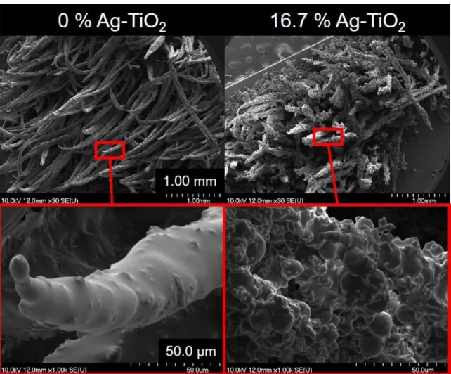 Figure 3. SEM images of magnetic grasses with 0 and 16.7 wt.% nominal Ag-TiO 2  content cured under  0.35 T magnetic field