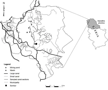 Fig. 1. The sampled canal sections (stripes), marshes (stars), and mining ponds (triangles) in the region of Sombor, NW Serbia