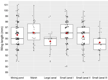 Fig. 2. Boxplot (median, upper, and lower quartiles, min, max) of wing length in the six studied reed habitat types