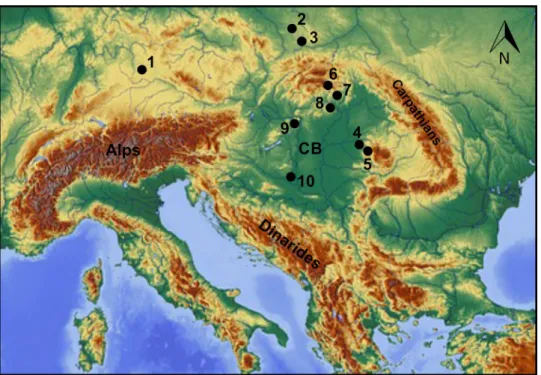 Fig. 1    Pleistocene  Crocidura obtusa occurrences on mainland  Europe. 1—Weißenburg 7, Germany, Early Pleistocene (von  Koenig-swald  1971);  2—Przymiłowice 2B, Poland, Early Pleistocene (cf.,  Rzebik-Kowalska 2013); 3—Biśnik Cave VI, VIII, IX, Poland,  