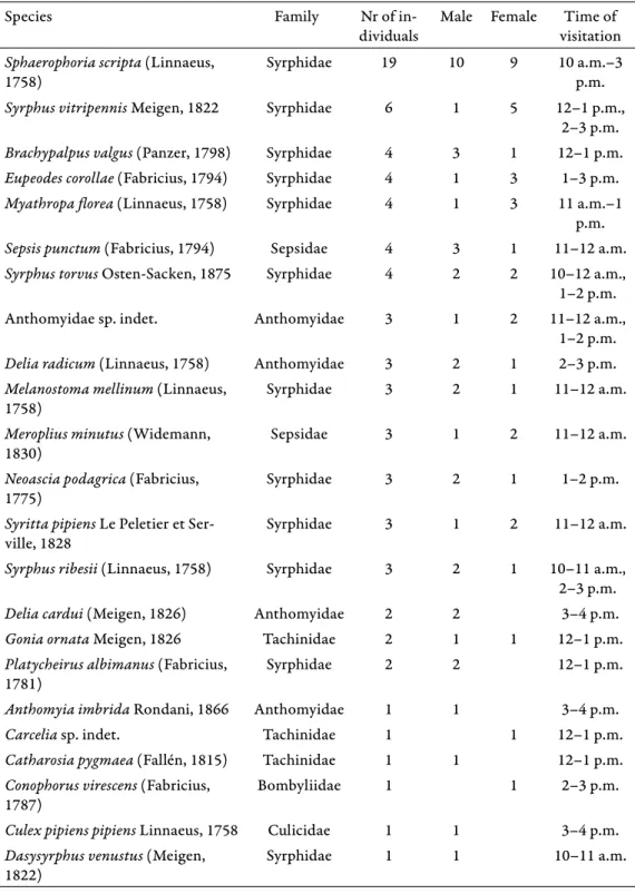 Table 2. Adonis vernalis fl ower visitor Diptera species listed in decreasing frequency  (Szent király szabadja,  2019).