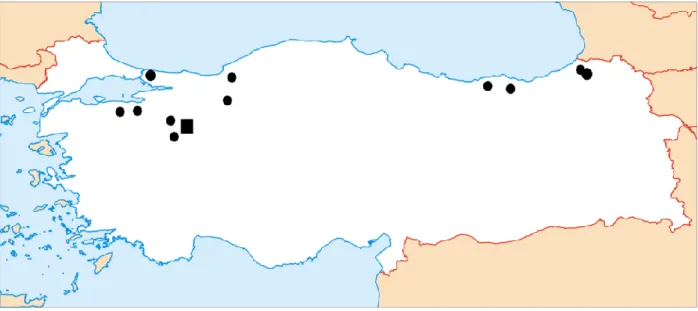 Figure 2. Distribution of D. attemsi in Turkey (Black square shows the new record of the species)
