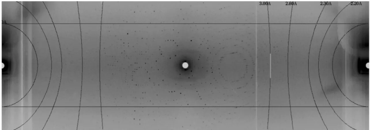 Fig. 3    Diffraction pattern from the RuBisCO enzyme, collected on  the BIODIFF beamline at the Forschungs-Neutronenquelle Heinz  Maier-Leibnitz (FRMII/MLZ) in Garching, Germany