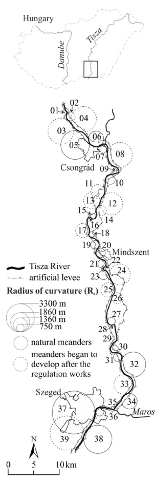 Figure 1. Point-bars were studied in 39 bends in the  Lower Tisza River. The radius of curvature and age of the 