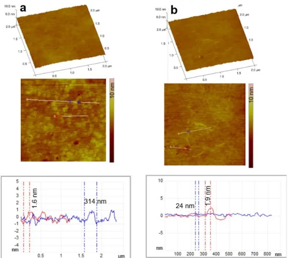 Figure 8. 3D representation, amplitude AFM images of film containing cetirizine HCl (a) and diclo- diclo-fenac Na (b) surfaces with the section analysis curves shown along the indicated white, blue, and  red lines