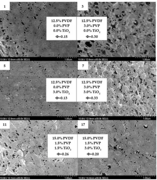 Figure 3. Scanning electron microscopy images of the top surface of 6 different membranes containing PVDF, PVP and TiO 2 