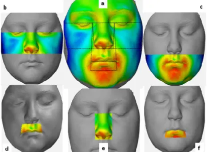 Figure 6. The morphological regions and their reference lines used in our study. (a) Total face  region with the reference lines used