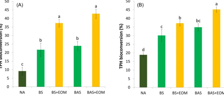 Fig. 2. Bioconversion of total petrol hydrocarbons (TPH) in soil microcosms (A) after 20 days and (B) after 60 days of incubation