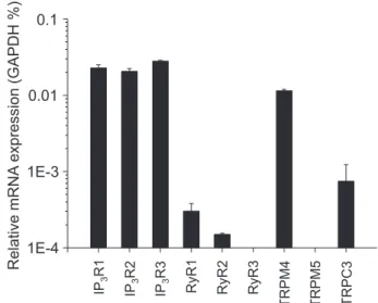 Figure 1. Relative expression of ion channel genes in murine pancreas.