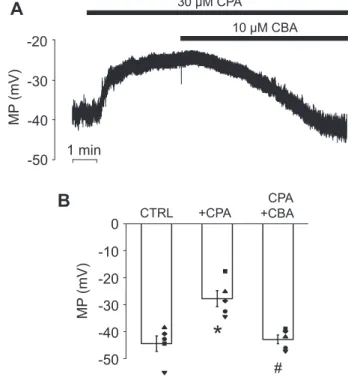 Figure 3. CBA does not affect the Cl − current in pancreatic acinar cells.