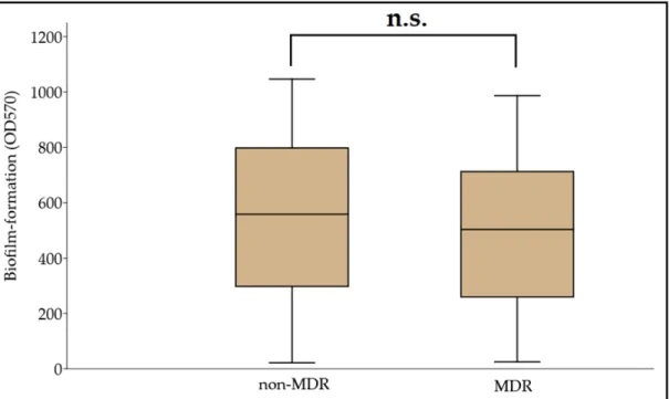 Figure 1. Comparison of biofilm-forming capacity among non-MDR and MDR A. baumannii isolates; n.s.: not significant  (p = 0.072)