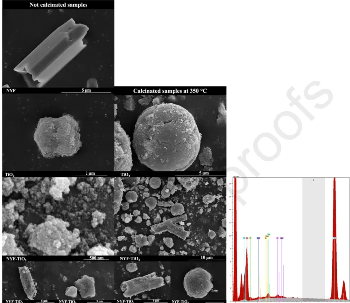 Fig. 2. SEM micrographs of the prepared photocatalysts: the first column contains the base  catalysts, while the second column contains their heat-treated counterparts