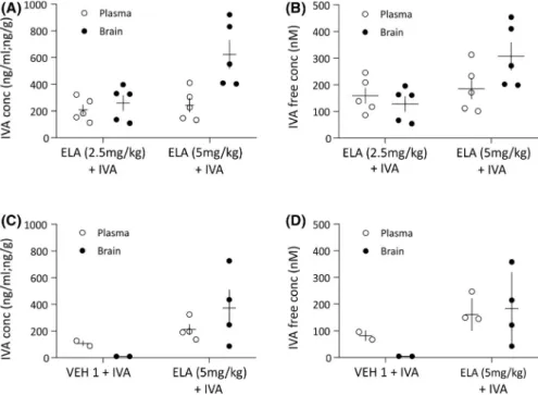 FIGURE 1 Brain and plasma levels of systemically injected ivabradine (IVA) with and without pretreatment with elacridar