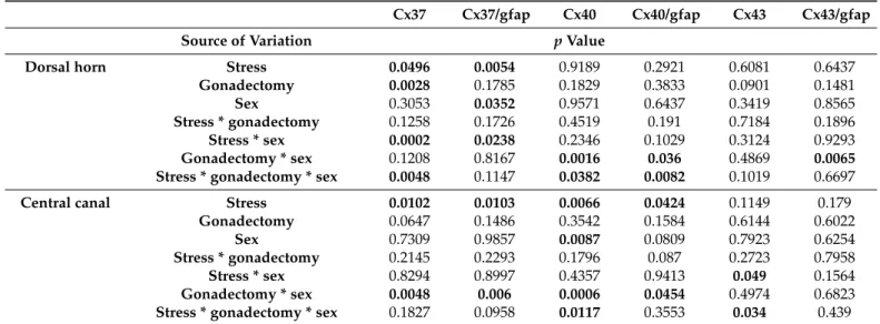 Table 2. Three-way ANOVA comparison of connexin expression in the spinal cord of rats.