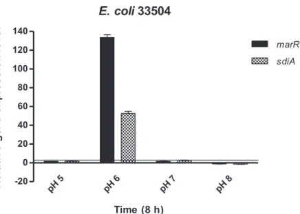 Figure 2. Relative gene expression levels of marR and sdiA genes in the presence of gentamicin in  Escherichia coli 33504 after 8 h exposure