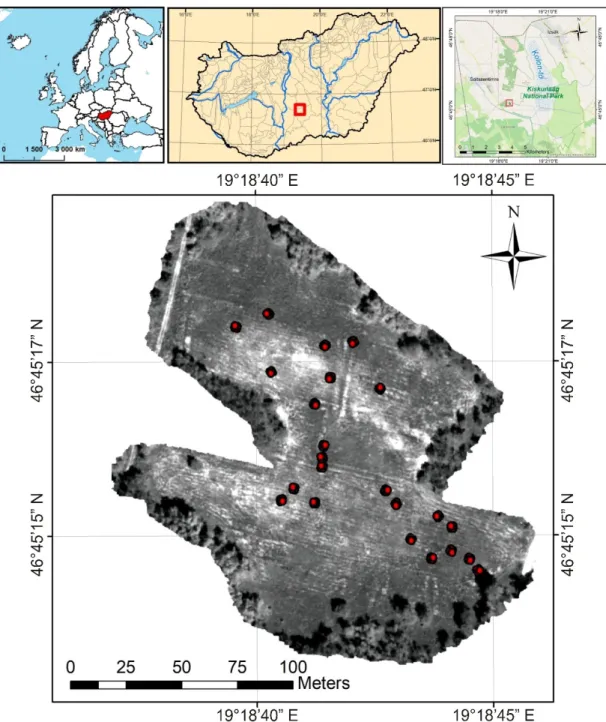 Figure 2. Location of the target plot in the Southern Great Plain region (on the Kiskunság Sand Ridge), on the outskirts of  the village of Soltszentimre: the area of 2 ha is considered as the study site with 23 sampling quadrats