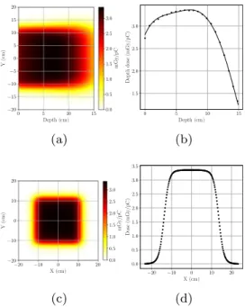 Fig. 5. Dose map, depth dose curve and dose profile at maximum dose depth, obtained with the spot scanning technique