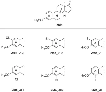 Figure 2. Structure of the halogenated 13 a -methyl-oestrone 3-methyl ethers con- con-sidered in the present study.