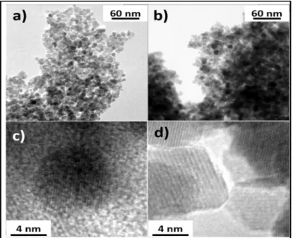 Figure 3. Bright field TEM image of (a) FO−CA and (b) FO−NA showing the nanoparticle struc- struc-ture of the samples