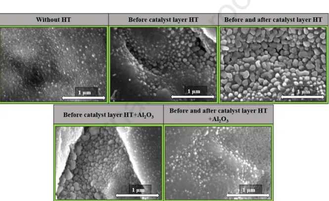 Fig. 2: SEM images of catalyst particles on substrates during blank synthesis from different  heat-treatments (HT) 