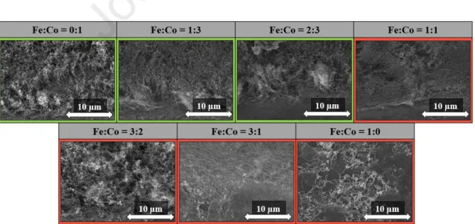 Fig. 5: SEM images of CNT forests growth on titanium substrate using different catalyst  ratios