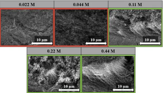Fig. 6: SEM images of CNT forests grown on titanium substrate using different ink  concentrations