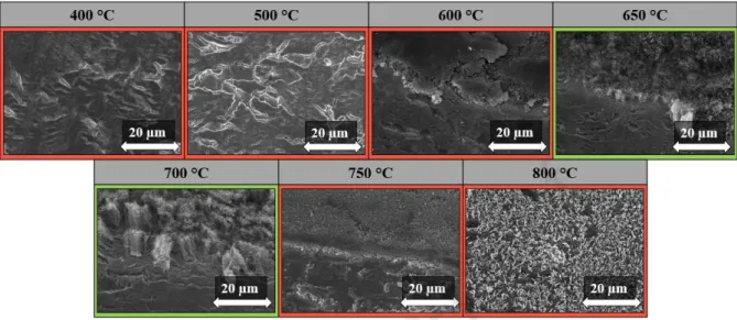 Fig. 7: SEM images of CNT forests synthesized at different reaction temperatures.  