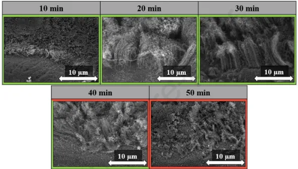 Fig. 8: SEM images of CNT forests at different reaction times used during synthesis. 