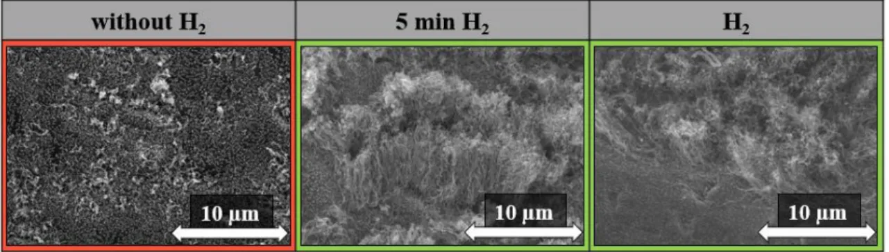 Fig. 10: SEM images of CNT forests without and 5 min and with hydrogen used during  synthesis
