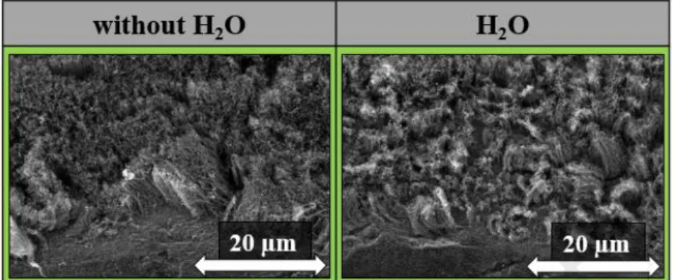 Fig. 11: SEM images of CNT forests without and with water vapor during CVD synthesis.  